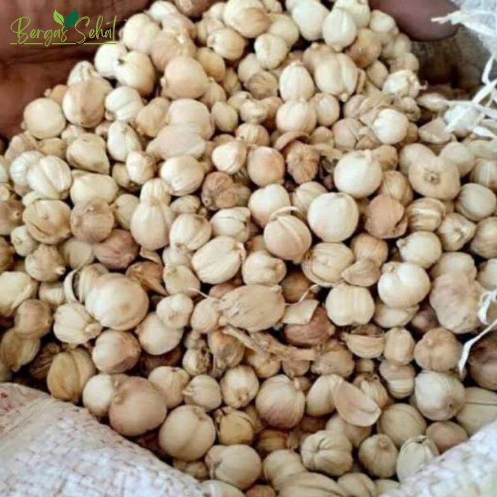 Kapulaga Kering Organik 1kg | kapulaga Jawa - Kapulaga Jawa 100gr / Kapulaga lokal