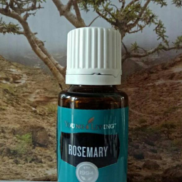 rosemary 15ml essential oil essentials original young living