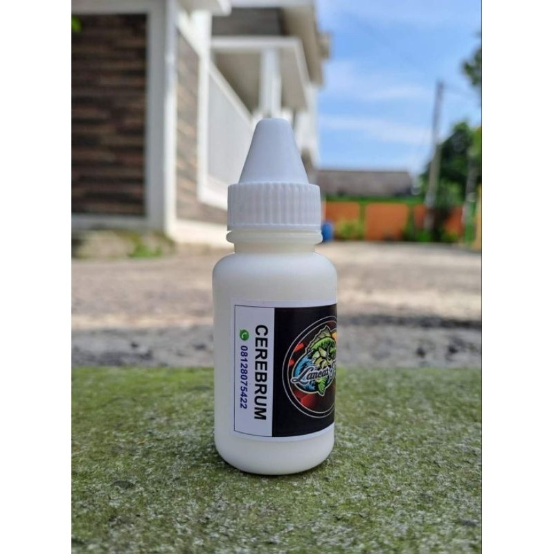 Essen Cerebrum ( Produk El Jaya ) Essen Ikan mas