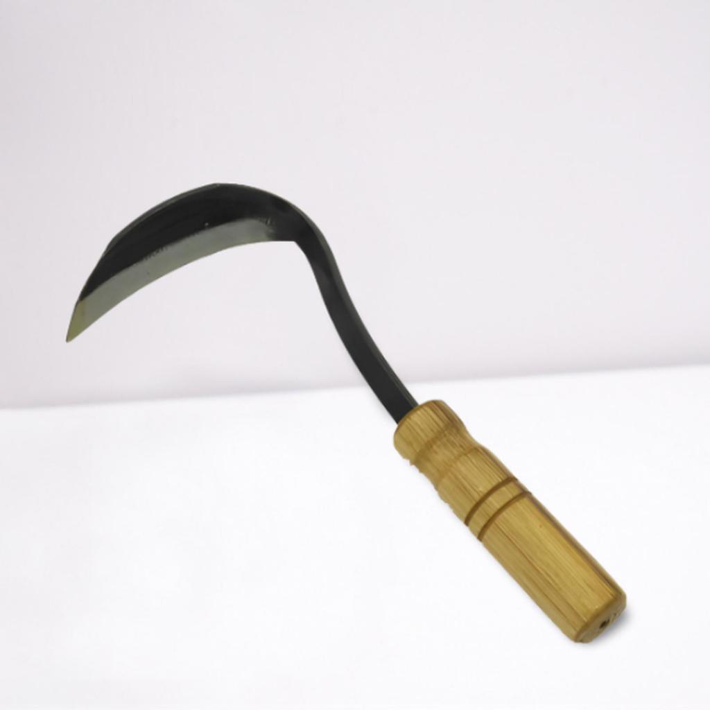 Arit Sabit / Arit Rumput Pir Premium