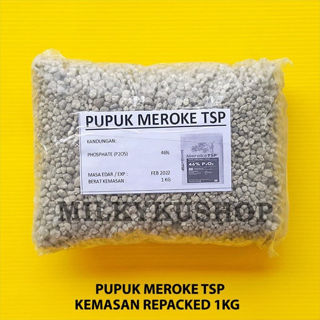 rye - Pupuk Meroke TSP 1 Kg Granular Fosfat 46%