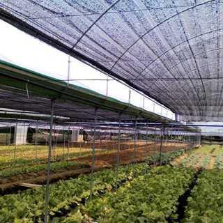 Paranet 90 PERSEN Panjang 10 meter x Lebar 3 meter - shade net Tanaman Jaring paranet - PARANET 90% 