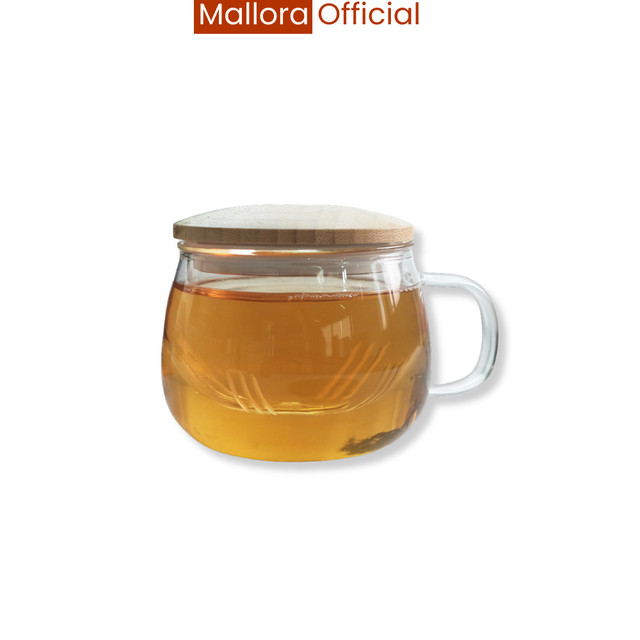 Mug Teh Kaca Infuser Tahan Panas 420ml