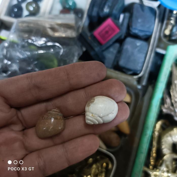 pusaka keong kol buntet coklat dan putih KJM1122 LSP 9