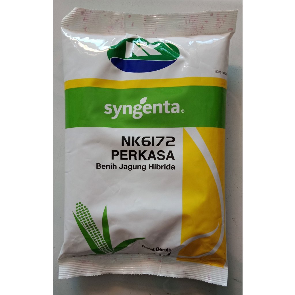 TERBARUBENIH JAGUNG PERKASA#NK PERKASA#NK6172 PERKASA#BIBIT JAGUNG PERKASA