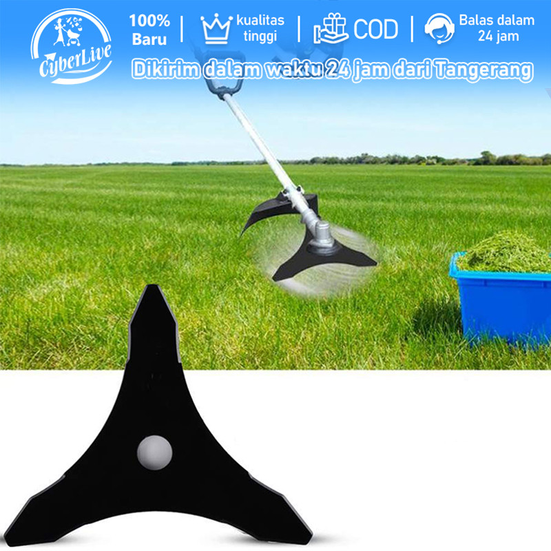Mata Pisau Potong Rumput 3 Sikat Gigi Mata Pisau Pemotong Rumput