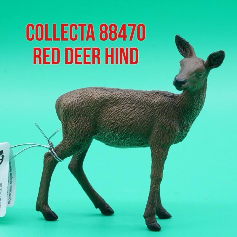 Collecta 88470 Red Deer Hind Rusa Merah Betina Cervus Elaphus | Mainan Figure Binatang Miniature Hew