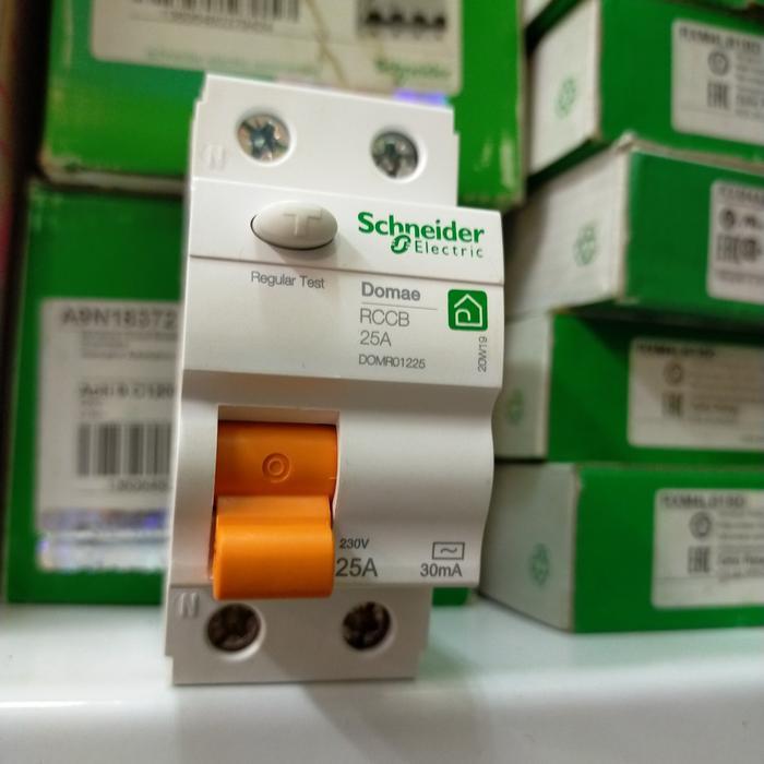 elcb 2pole 25a 30ma schneider