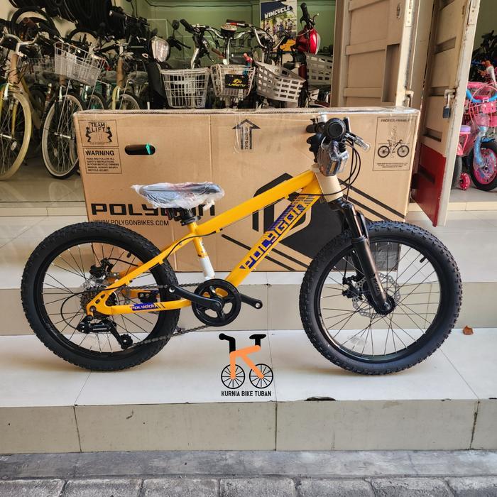 Sepeda Anak MTB 20 POLYGON MAZE