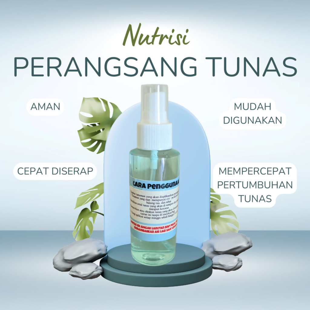 Promo MurahNutrisi Perangsang Tunas Aglonema Terlaris