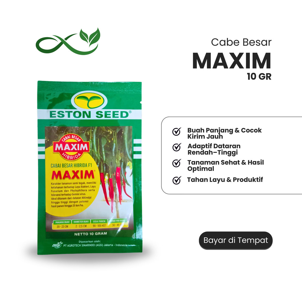 Benih Cabai Besar MAXIM F1 10 gr Original Eston Seed