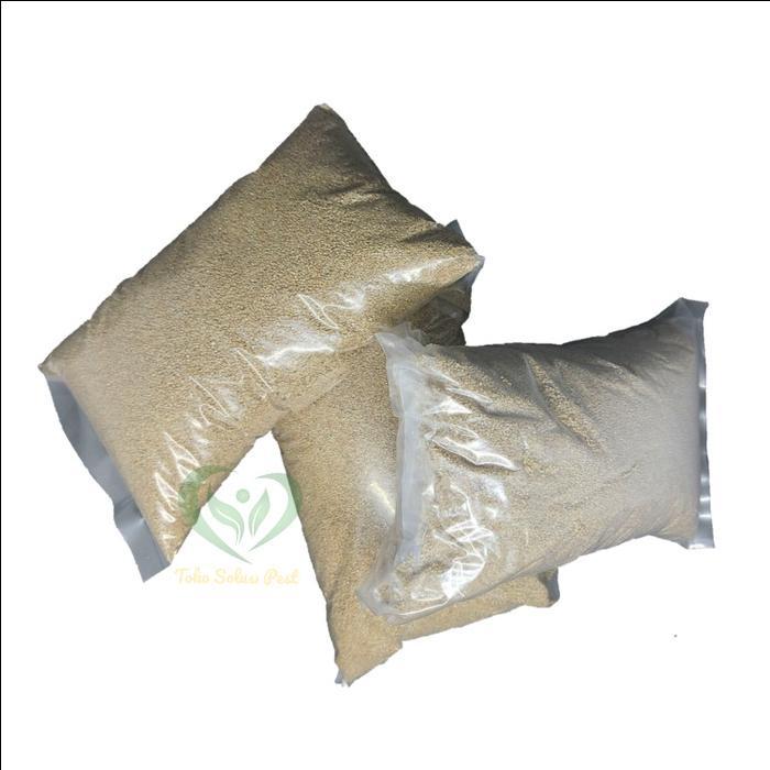 Promo Abate 1 GR pembasmi jentik nyamuk isi 500 gram larvasida dbd malaria