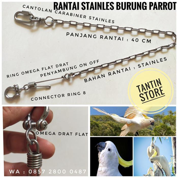Rantai Stainles Burung Parrot Kakatua Medium Jambul Kuning