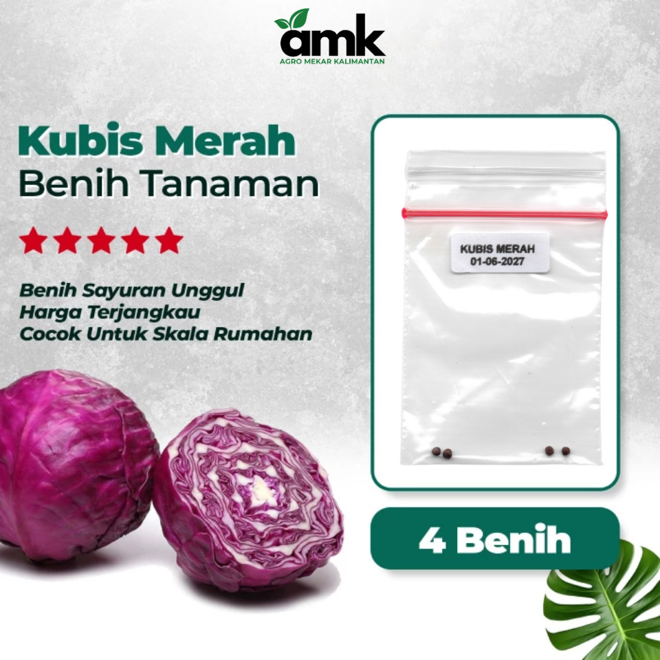 Benih Bibit KUBIS MERAH - Agro Mekar Kalimantan