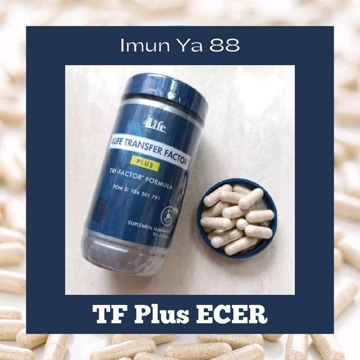 4life ecer ECER TF PLUS 100% ORIGINAL 4LIFE TRANSFER FACTORR PLUS
