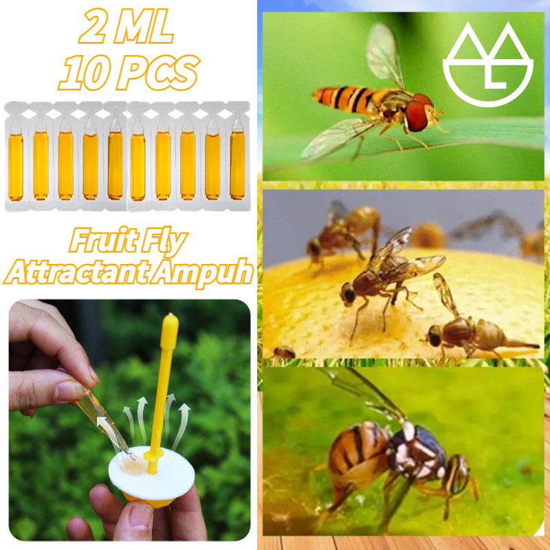 10pcs Fruit Fly Attractant 2ml Trap Bait / Fruit Fly Attractant Liquid