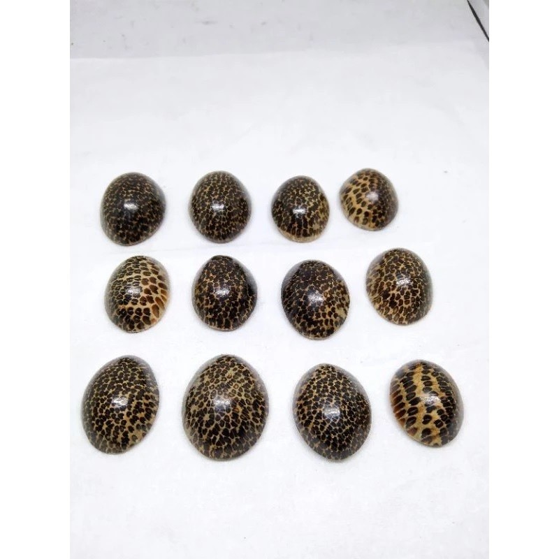 Bahan cincin akik kayu liwung rindu akik