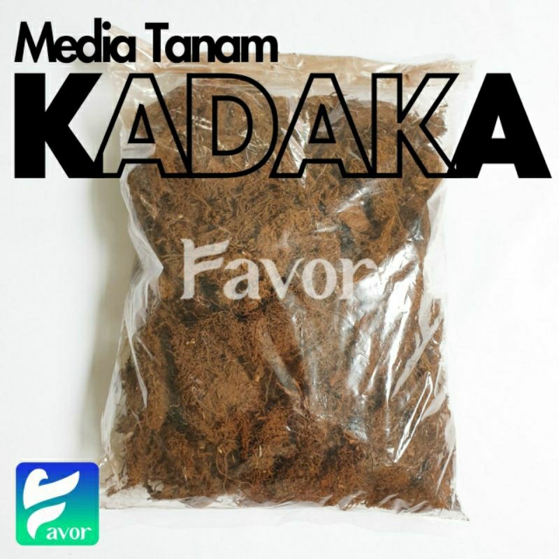 MOSS HITAM Halus AKAR KADAKA Media Tanam Anggrek / Tanaman Hias Bunga Epifit SUDAH DIBERSIHKAN