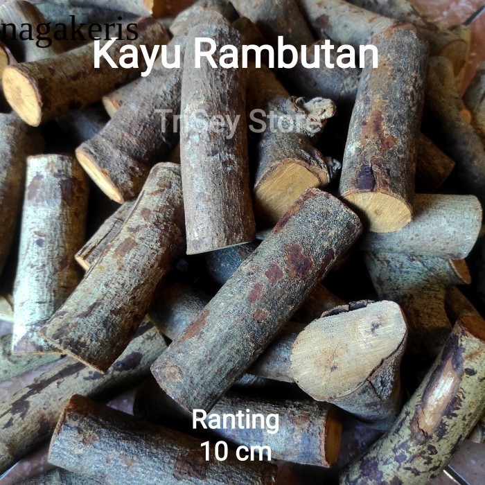 Kayu Bakar Rambutan BBQ - Ranting - 10 cm - 1 kg laris