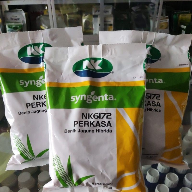 Benih Jagung NK6172 PERKASA 1kg Bibit Jagung Hibrida dari SYNGENTA