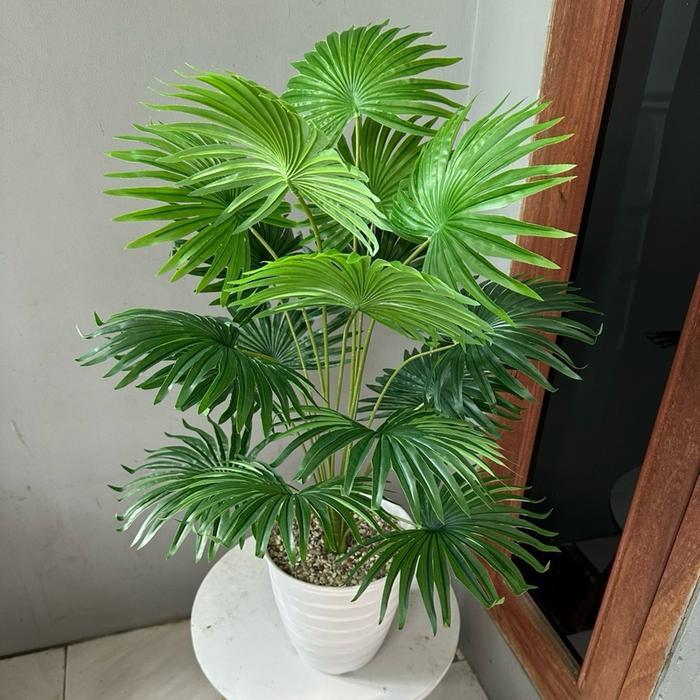 Atap Home TANAMAN PALSU PALEM KIPAS(SUDAH+POT) Plastik Aksesoris - -, -