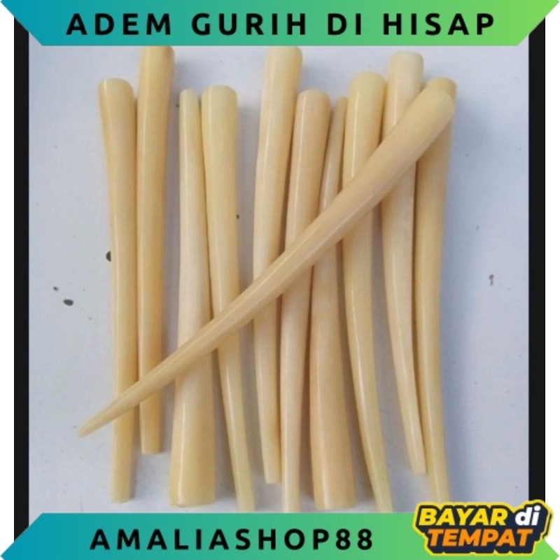 ONCE PIPA TULANG UNTA ADEM PULEN