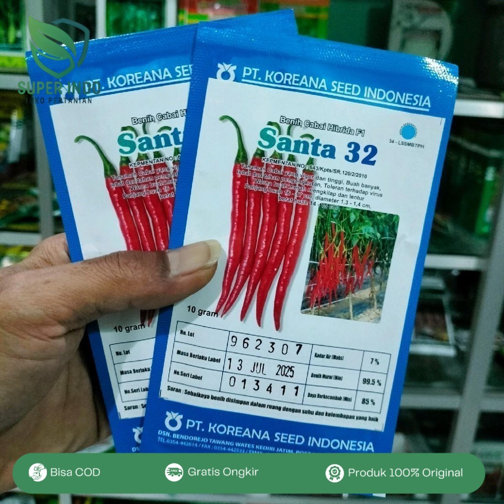 Santa 32 F1 Benih Cabe Hibrida 10gr Asli Koreana Seed