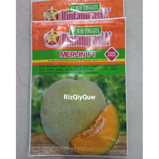 Merlin f1 (Benih Melon) 20grm