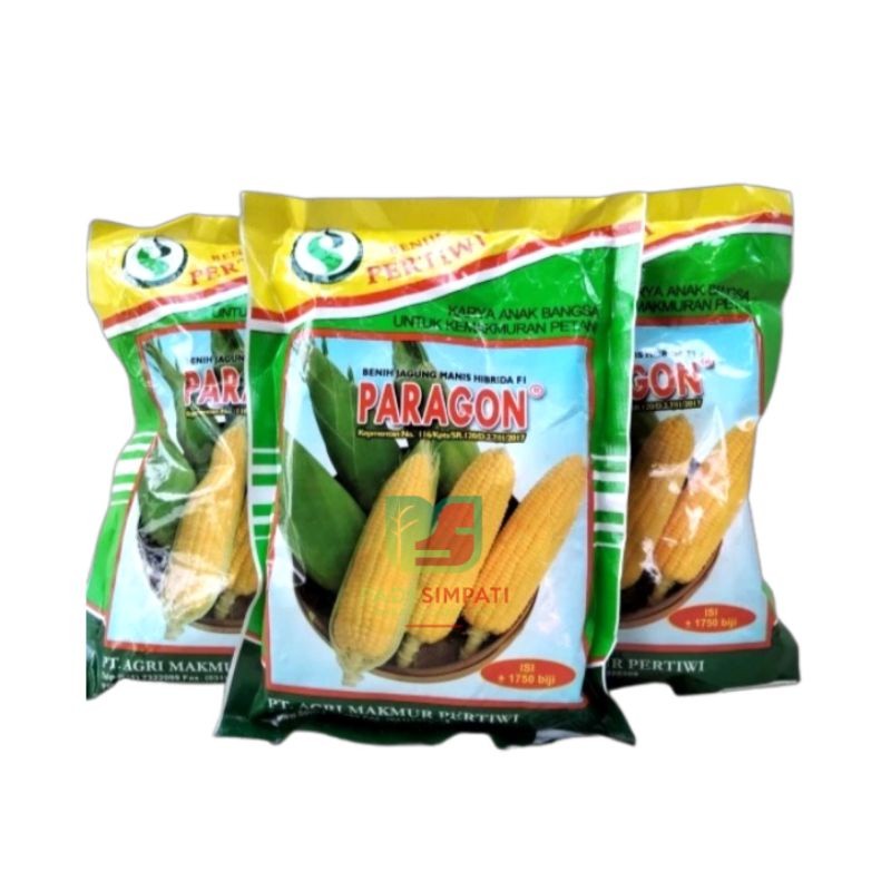 Benih Jagung Manis Hibrida PARAGON