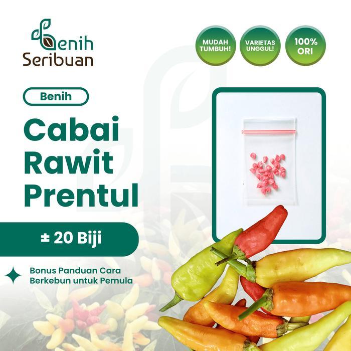 20 Benih Cabe Rawit Prentul Klaster Benih Sayur Cabai Buah Bergerombol - PRENTUL KLASTER