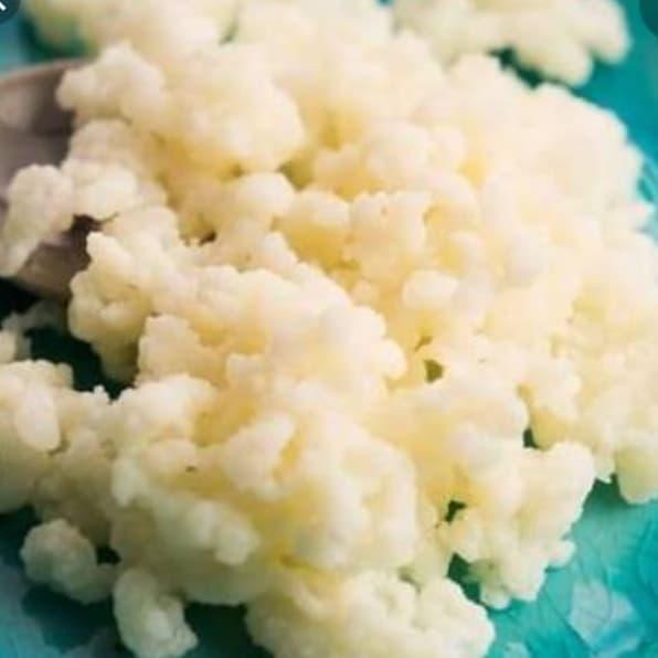 grain kefir susu / kefir susu /bibit kefir untuk pemula,10grm
