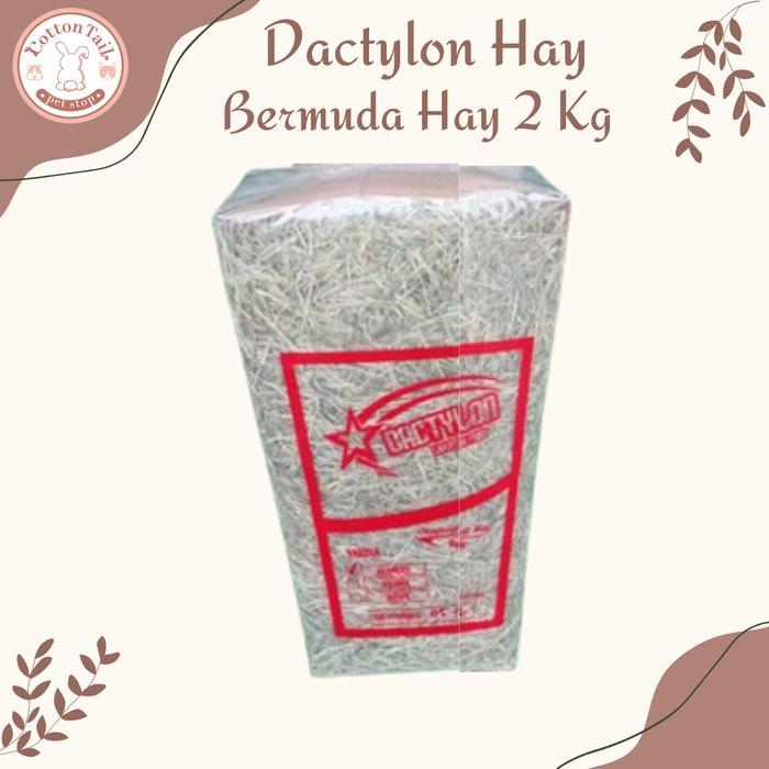 DACTYLON HAY / Rumput Kering Bermuda Pakan Kelinci & Cavy 2kg
