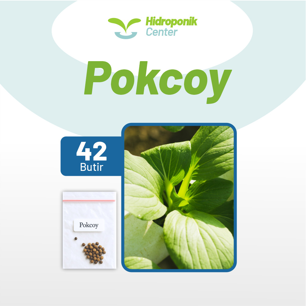 HIDROPONIK CENTER - Benih Sayur Sawi Pokcoy Unggul Bibit Sawi Pakcoy Super Lebat Benih Premium