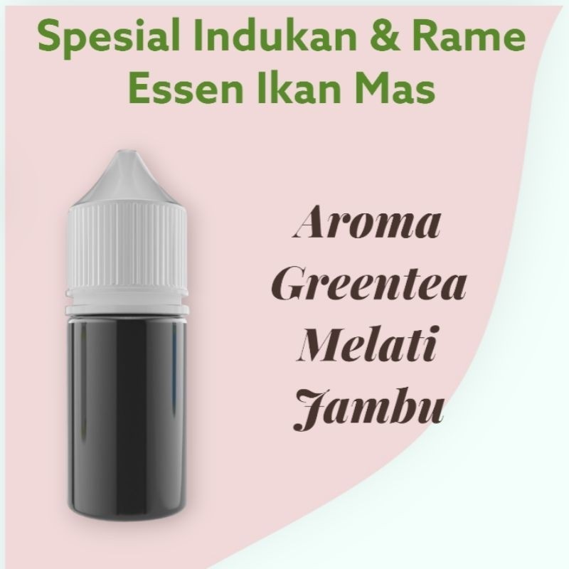 Essen Ikan Mas Spesial Indukan dan Rame Aroma Greentea Melati Jambu Essen Ikan Mas Raja Empang