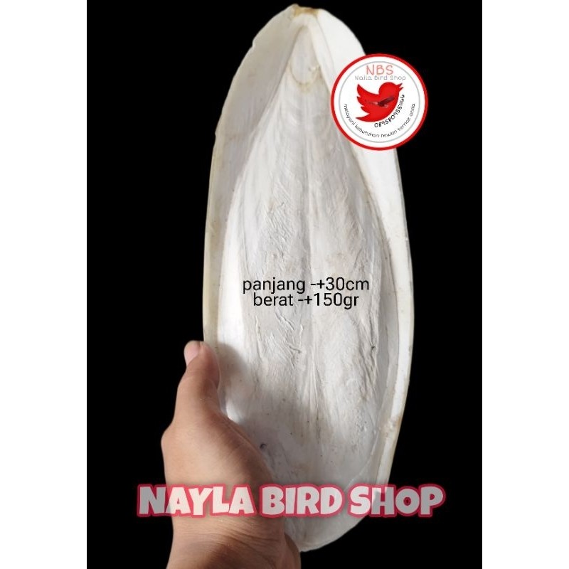 Premium TULANG SOTONG JUMBO ASINAN SOTONG BREDING BURUNG PENGUAT TELOR DLL