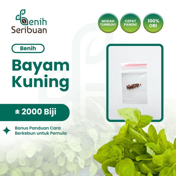 2000 Benih Bayam Kuning Cabut Unggul Bibit Sayuran Hidroponik Berkualitas - BAYAM CABUT