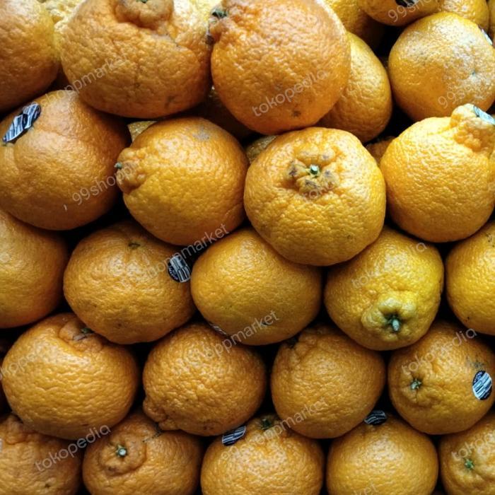 Jeruk Dekopon Chun jian Australia super 1 kg