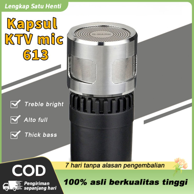 High Sensitivity Profesional Dynamic Spool MICROPHONE MIC DASTECH 613
