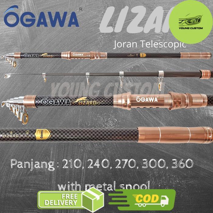 Joran Pasiran Ogawa Lizard - 210 -young