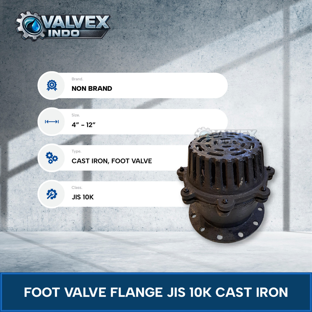 FOOT VALVE 8" INCH JIS 10K CAST IRON ORIGINAL T1195