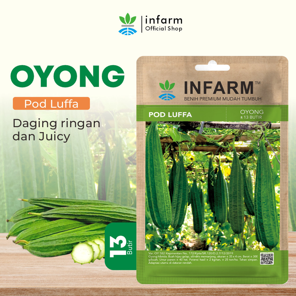 BENIH JAYA - Benih Buah Oyong Podluffa, Benih Sayuran Buah Oyong Unggul Bibit Oyong Hibrida Super