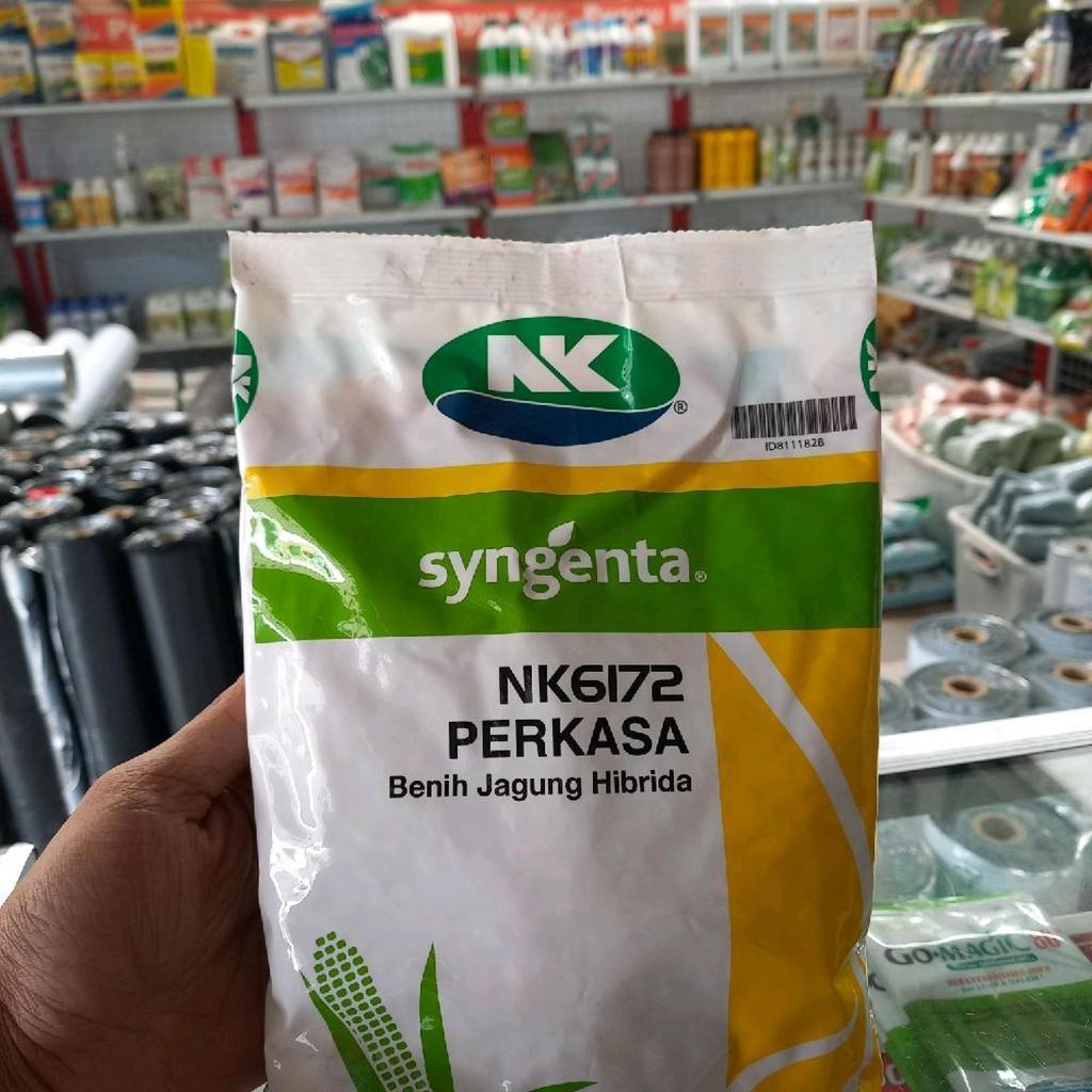Benih JAGUNG HIBRIDA NK 6172 PERKASA 1KG #bibit jagung#jagung perkasa#bibit nk perkasa