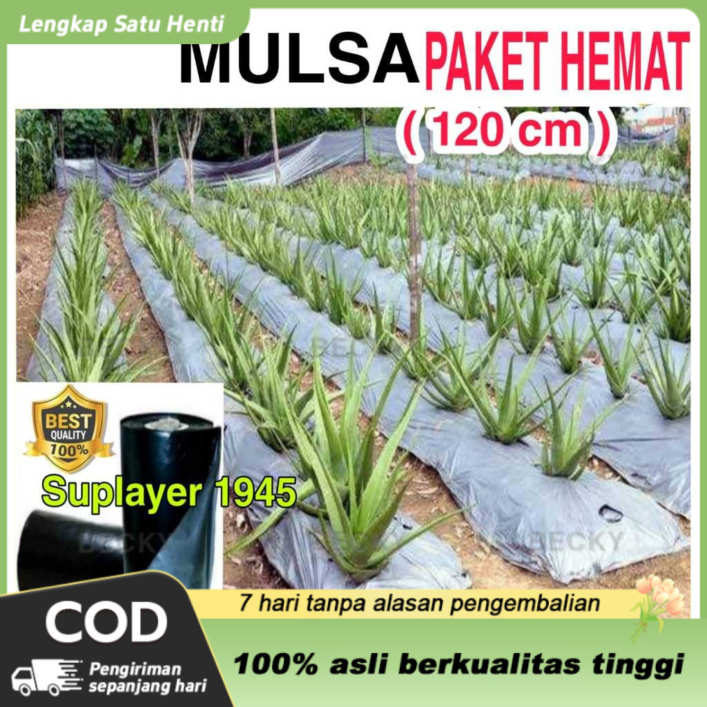 Plastik MULSA 1 ROLL hitam/perak ( Panjang 250 meter x Lebar 1,2 meter ) ROLL