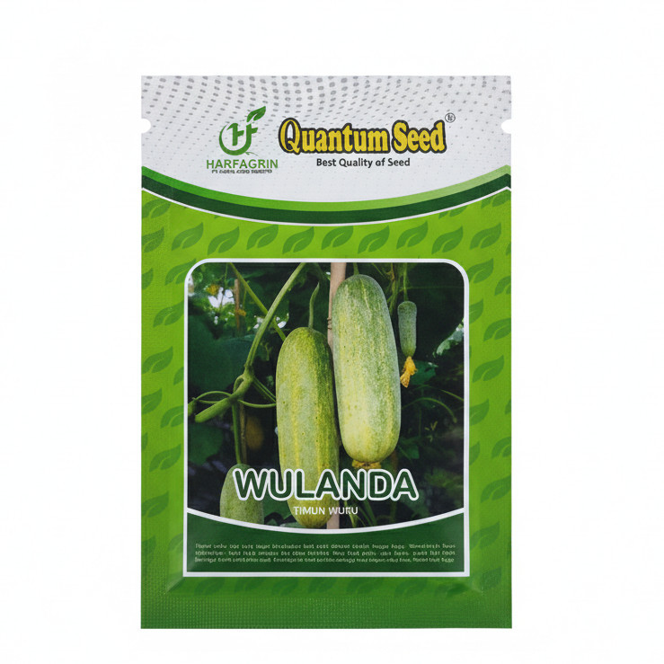 Benih Timun Lalap WULANDA 10 Gram Timun Wuku pendek Biji Bibit QUANTUM SEED