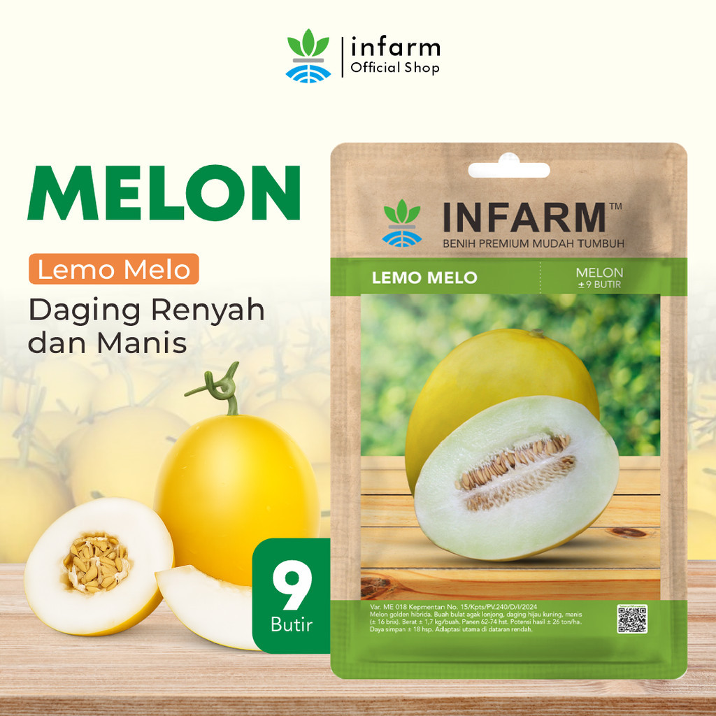 BOTANI - Benih Melon Lemomelo Unggul, Bibit Buah Melon Golden Super Bibit Buah Melon Berkualitas