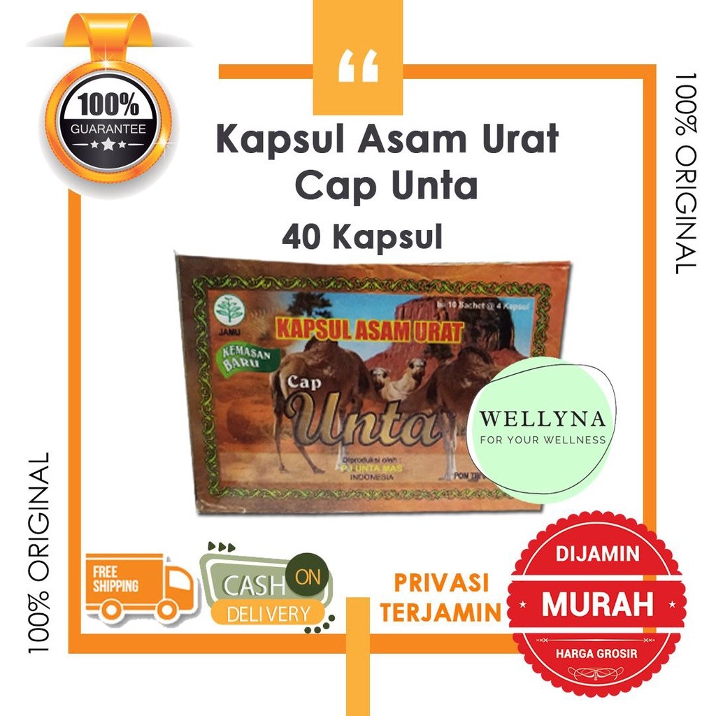Jamu Asam Urat Bentuk Kapsul Cap Unta Onta untuk encok, asam urat