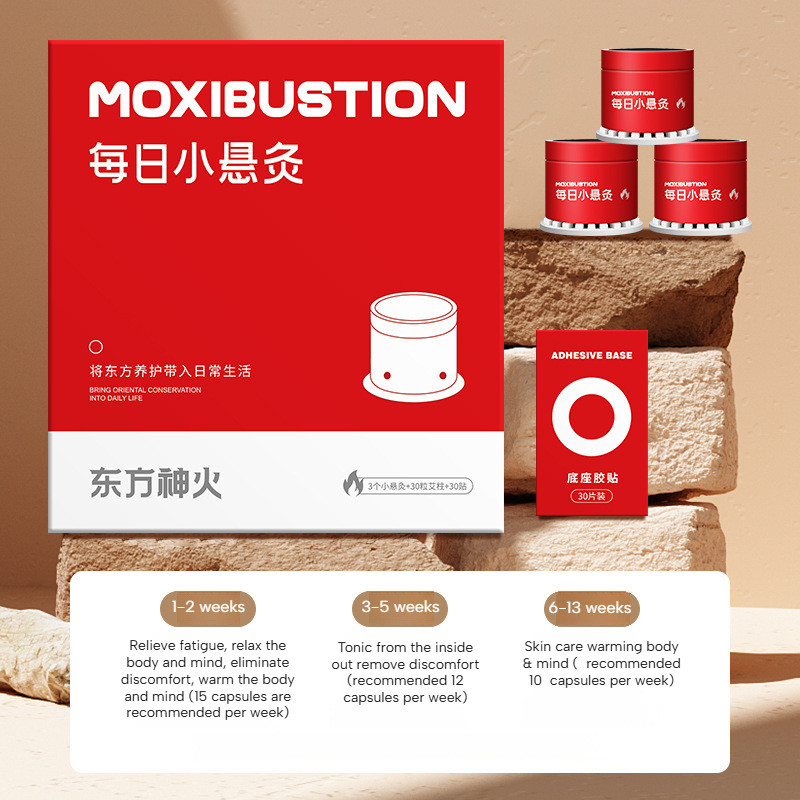 Benih Mawar Berwarna-warni Untuk Penggemar Bunga, Tumbuh Cepat dengan Tanaman Subur dan Mekar Menawa