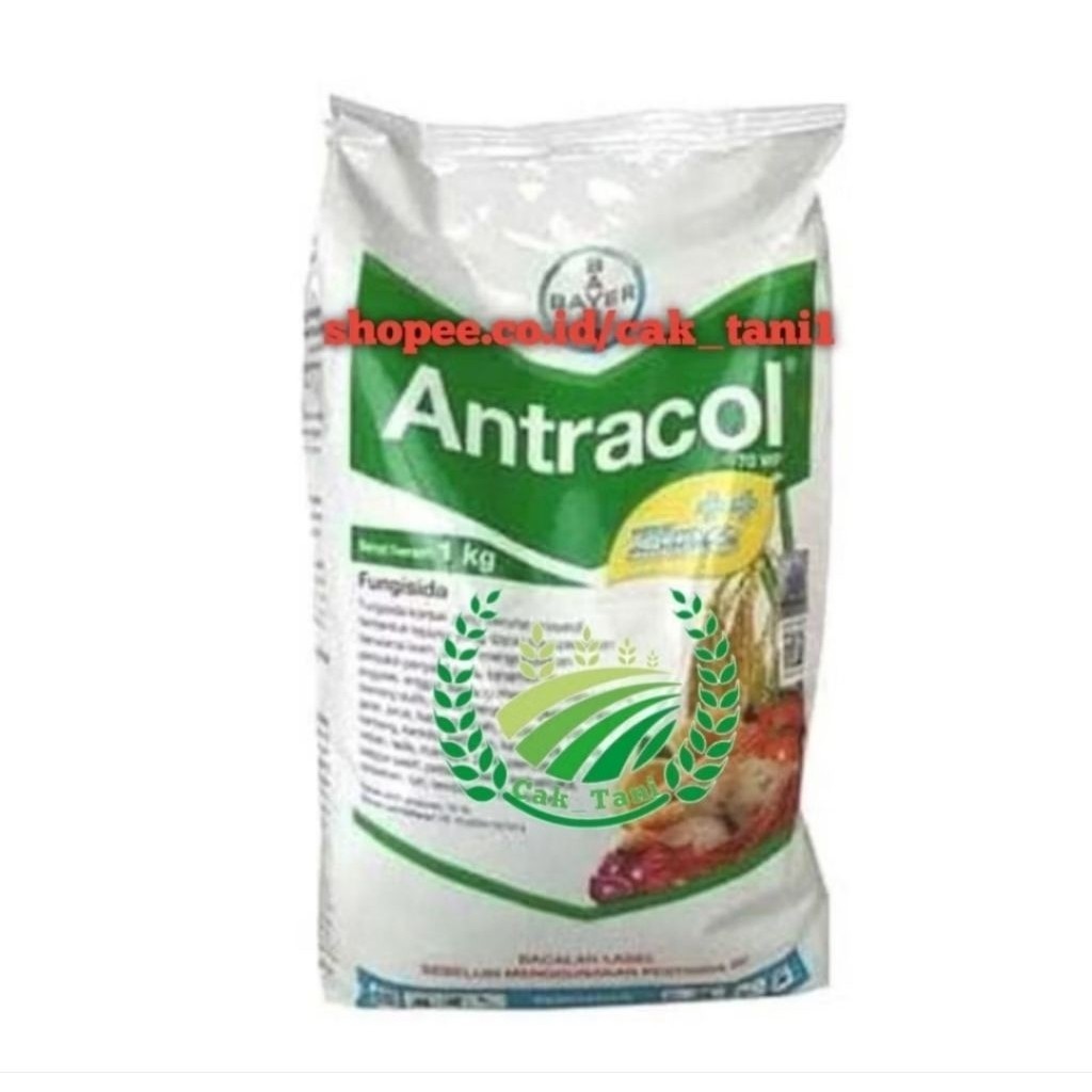 fungisida Antracol 1 kg