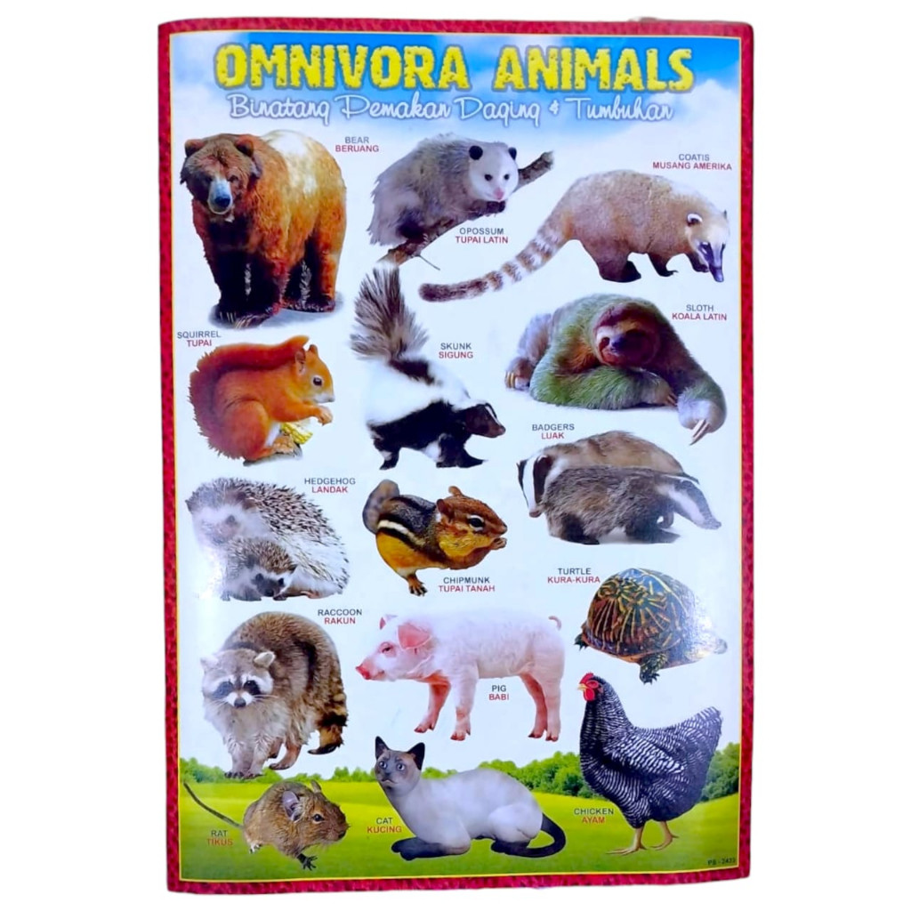 POSTER EDUKASI ANAK / POSTER ANAK EDUKASI / POSTER BELAJAR ANAK