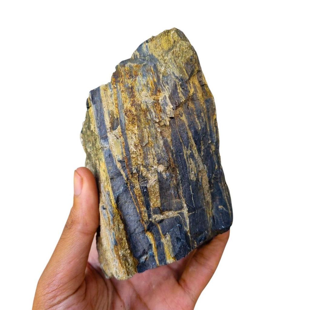 Rare Black Opalized Petrified Wood - Bongkahan Fosil Kayu Opal Hitam Asli